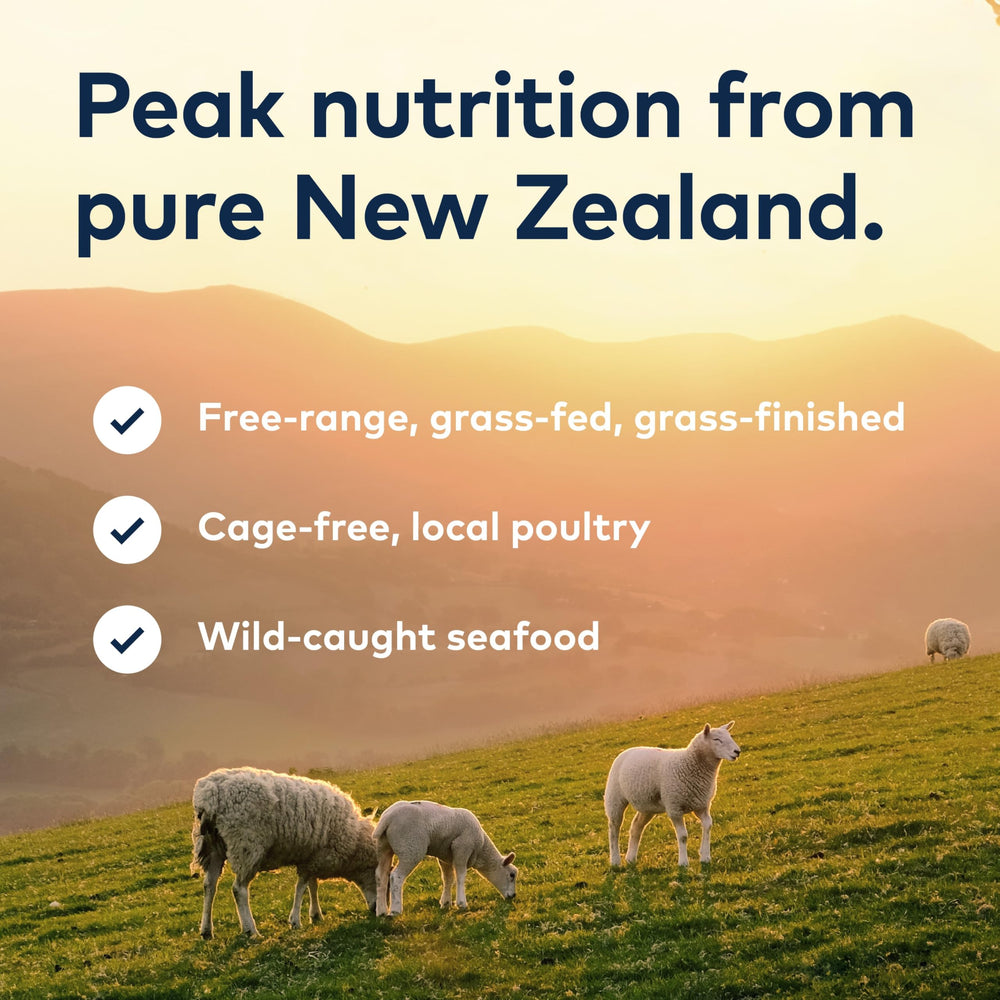 ZIWI producto en cocina con gato, conveniencia y alimentación diaria saludable