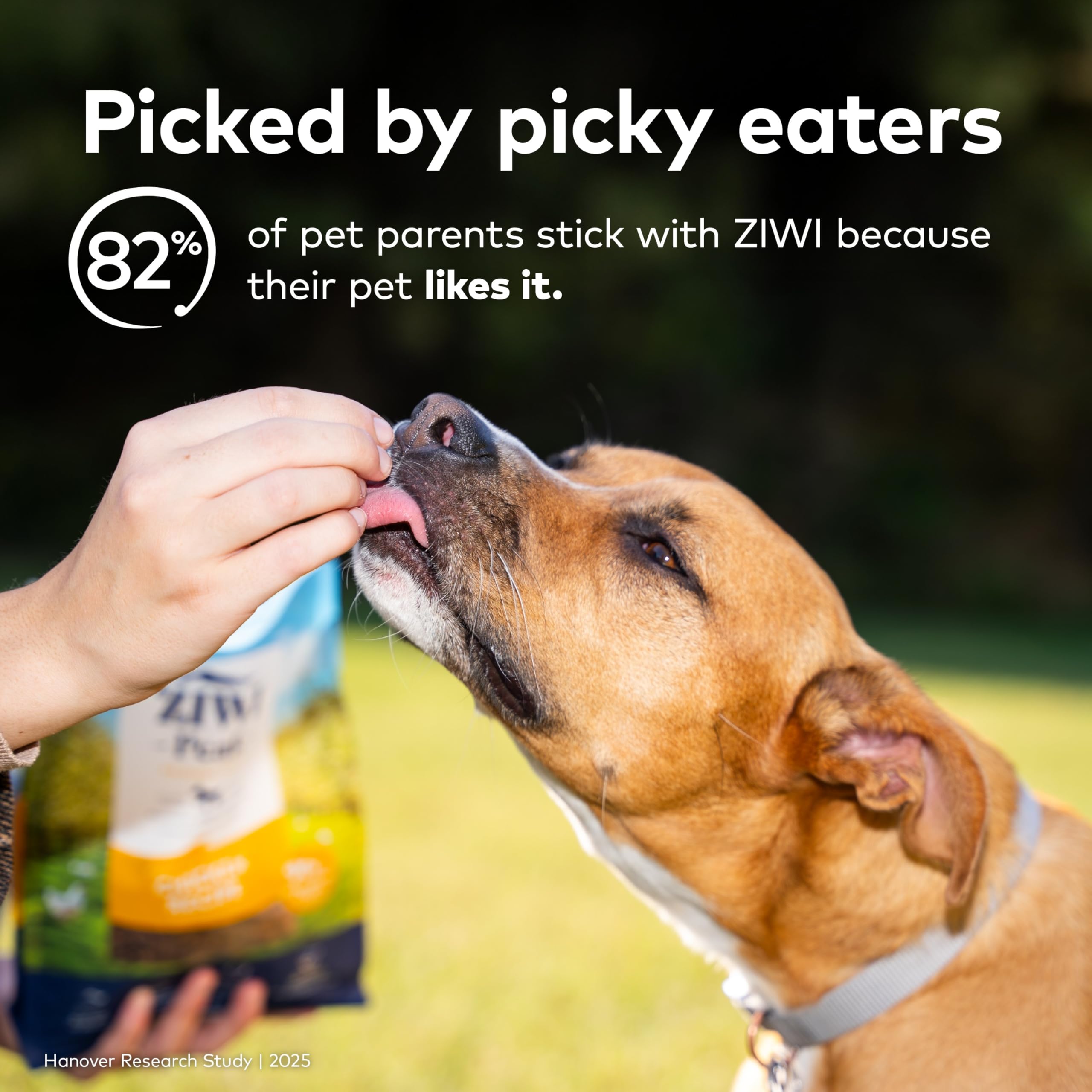 ZIWI estilo de vida en casa perro disfrutando comida aire-secada saludable
