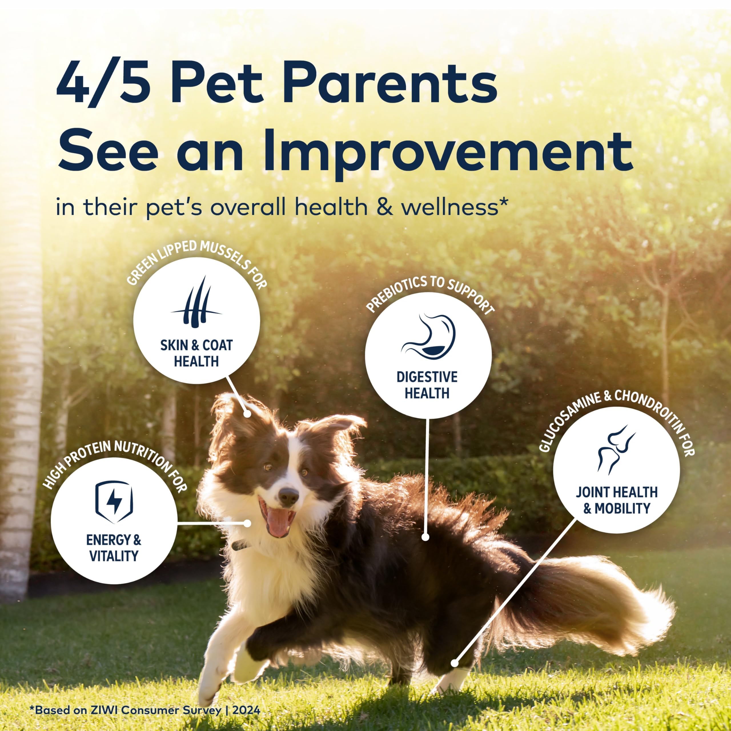 ZIWI trozos de cordero en plato listos para servir, atractivos y nutritivos