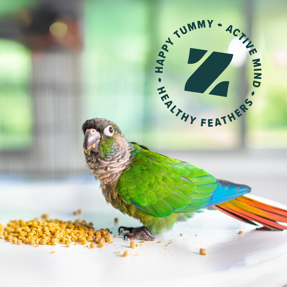 ZuPreem plumaje brillante tras dieta equilibrada con True Harvest
